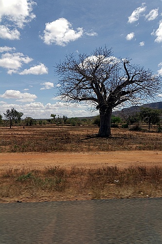 Kenia (272)